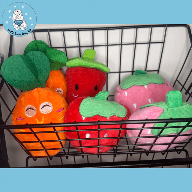 Fruit/Veg Toy 