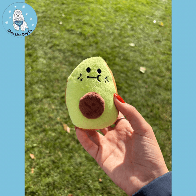 Fruit/Veg Toy 