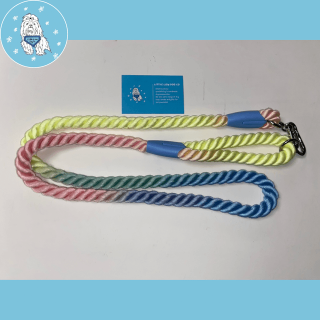 Rainbow Rope Lead 