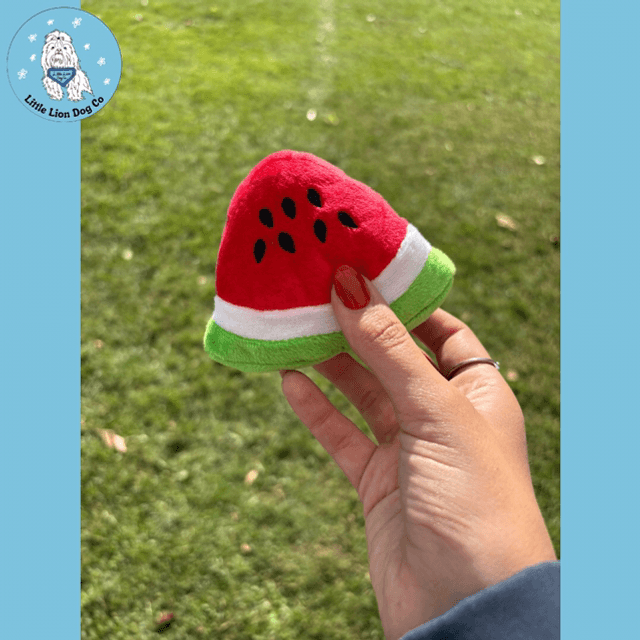 Fruit/Veg Toy 