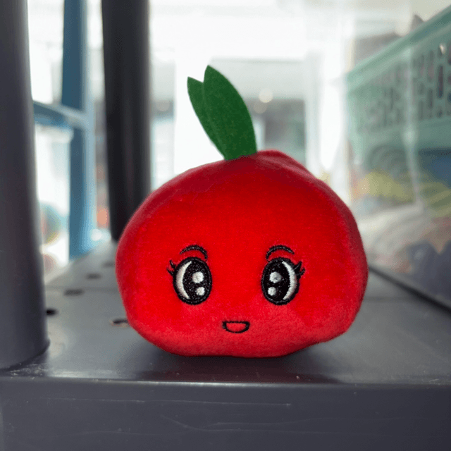 SECONDS Apple Toy
