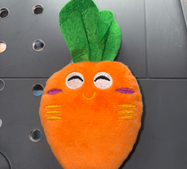 SECONDS Carrot Toy
