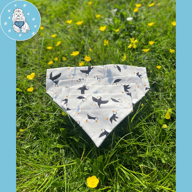 Much Ado About Puffin Handmade dog accessories 