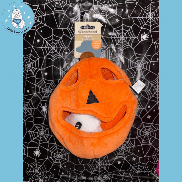 Halloween Pumpkin Burrow Dog Toy